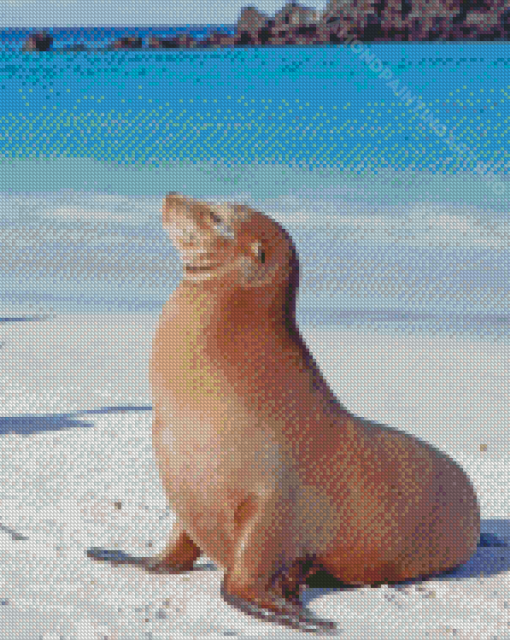 Galapagos Sea Lion Animal Diamond Painting