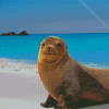 Galapagos Sea Lion Diamond Painting