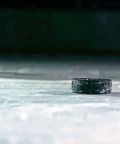 Hockey Puck Diamond Painting