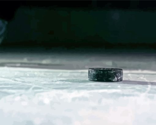 Hockey Puck Diamond Painting