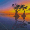 Mangrove Trees At Sunset Diamond Painting