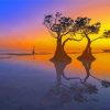 Mangrove Trees At Sunset Diamond Painting