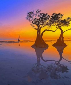 Mangrove Trees At Sunset Diamond Painting