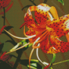 Orange Tiger Flower Diamond Painting