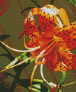 Orange Tiger Flower Diamond Painting