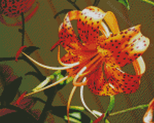 Orange Tiger Flower Diamond Painting