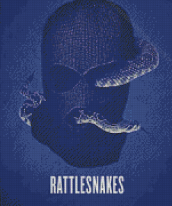 Rattlesnakes Poster Diamond Painting