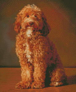 Red Chocolate Labradoodle Diamond Painting