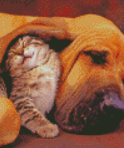 Sleeping Cat And Dog Diamond Painting