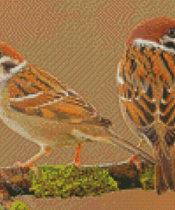 Sparrows In Tree Diamond Painting