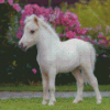 White Mini Horse Diamond Painting