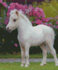 White Mini Horse Diamond Painting