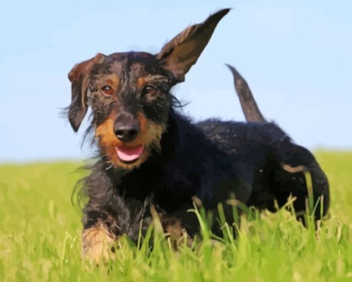 Wire Haired Dachshund Running Diamond Painting