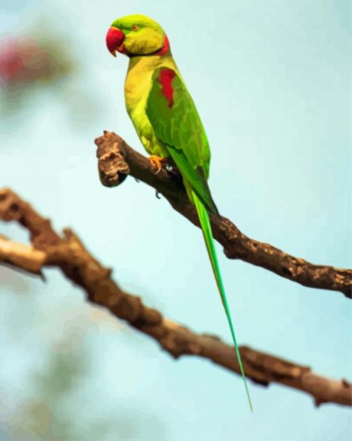 Alexandrine Parakeet On A Tree Branch Diamond Painting