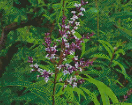 Aloysia Plant Flowers Diamond Painting