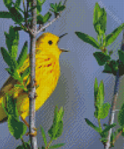 Yellow Warbler Bird Singing Diamond Painting