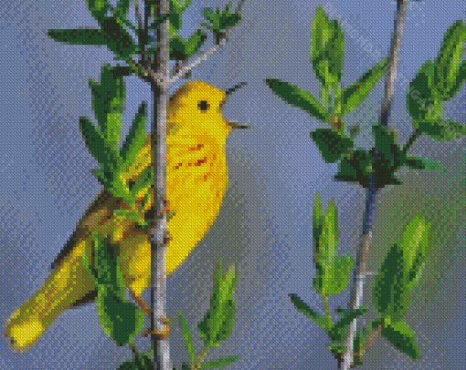 Yellow Warbler Bird Singing Diamond Painting