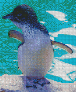 Australian Fairy Penguin Diamond Painting