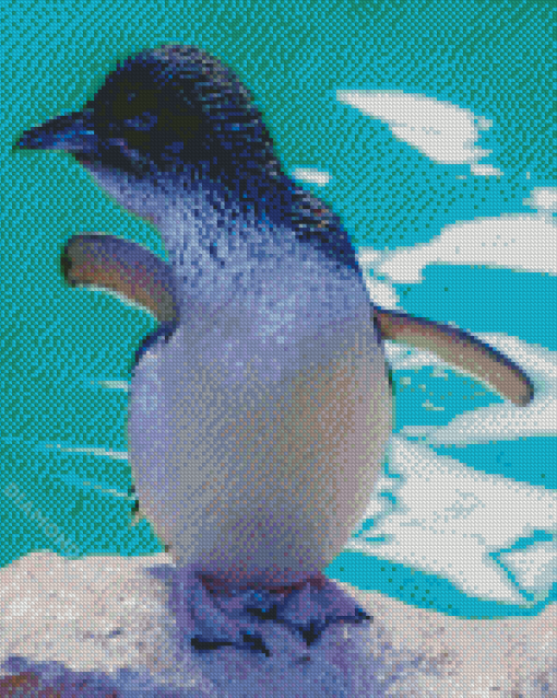 Australian Fairy Penguin Diamond Painting