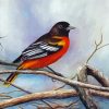 Baltimore Oriole Diamond Painting