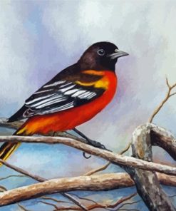 Baltimore Oriole Diamond Painting