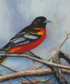 Baltimore Oriole Diamond Painting