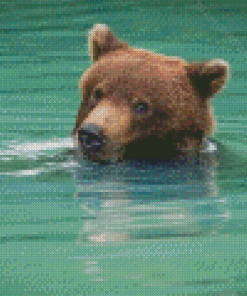 Bear Animal In Water Diamond Painting