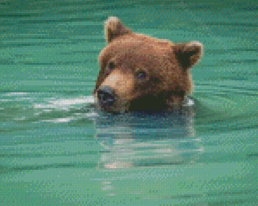 Bear Animal In Water Diamond Painting