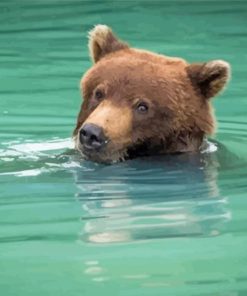 Bear Animal In Water Diamond Painting