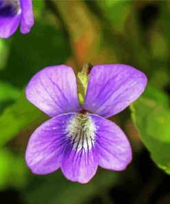 Beautiful Common Blue Violet Flower Diamond Painting