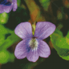 Beautiful Common Blue Violet Flower Diamond Painting