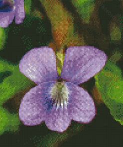 Beautiful Common Blue Violet Flower Diamond Painting