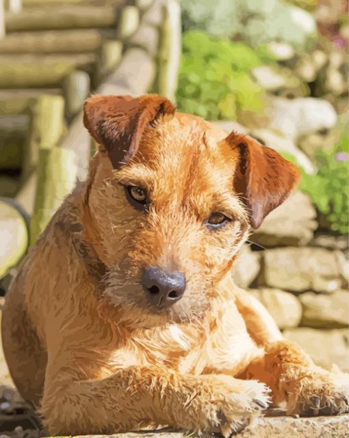 Beige Patterdale Terrier Diamond Painting