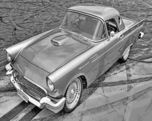 Black And White 57 Thunderbird Car Diamond Painting