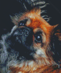 Black And Brown Pekingese Diamond Painting