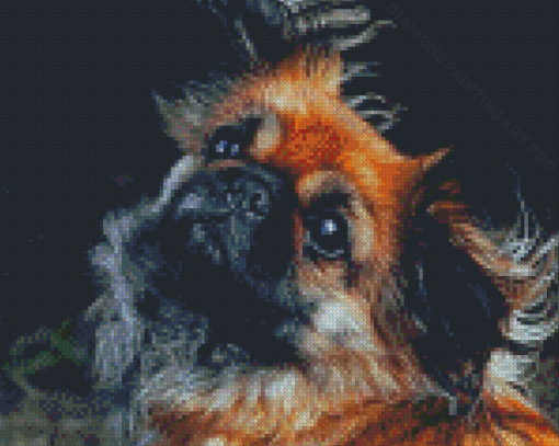 Black And Brown Pekingese Diamond Painting