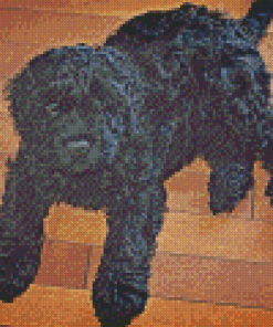 Black Cockapoo Dog Diamond Painting