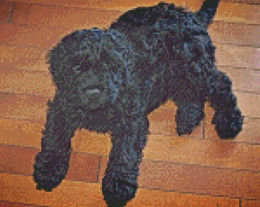 Black Cockapoo Dog Diamond Painting