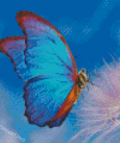 Blue Butterfly Diamond Painting