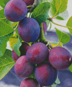 Common Plum Tree Diamond Painting