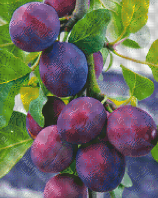 Common Plum Tree Diamond Painting