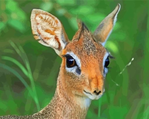 Damara Dik Dik Animal Diamond Painting