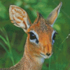 Damara Dik Dik Animal Diamond Painting