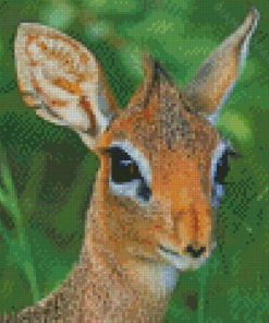Damara Dik Dik Animal Diamond Painting
