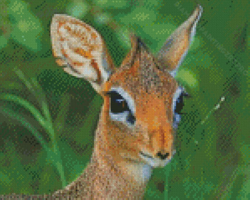 Damara Dik Dik Animal Diamond Painting