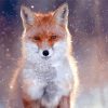 Fox Snow Diamond Painting