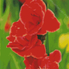 Gladiolus Diamond Painting