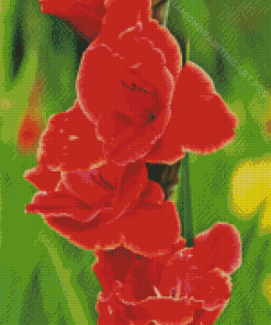 Gladiolus Diamond Painting