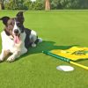 Golf Dog Diamond Painting