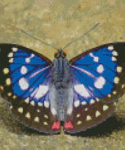 Great Purple Emperor Diamond Painting